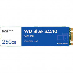 SSD WD Blue SA510 250GB M.2 2280 foto