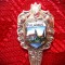 LINGURITA ARGINT MASIV CU MEDALION PORTELAN 11 CM 12.33 GRAME