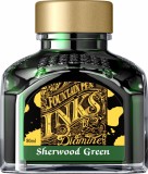 Calimara cerneala Diamine Sherwood Green 80ml