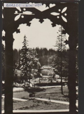 CPIB 22488 - CARTE POSTALA - VEDERE DIN BORSEC foto
