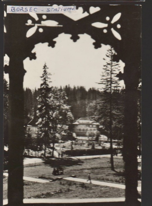 CPIB 22488 - CARTE POSTALA - VEDERE DIN BORSEC