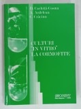 CULTURI ' IN VITRO ' LA CORMOFITE de D. CACHITA - COSMA ... C. CRACIUN , 1999