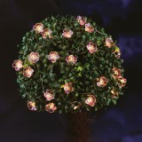 Sir lumina solara - floare - 2,4 m - 25 LED-uri alb cald Best CarHome, Garden Of Eden