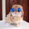 test fdgw 133344
