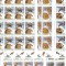2007 LP 1760 c PASARI DE PRADA SET COLI CU TABS IDENTICE 16 TIMBRE+4 TABS MNH