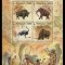 MONGOLIA 2023 FAUNA ANIMALE DIN EPOCA DE GHEATA