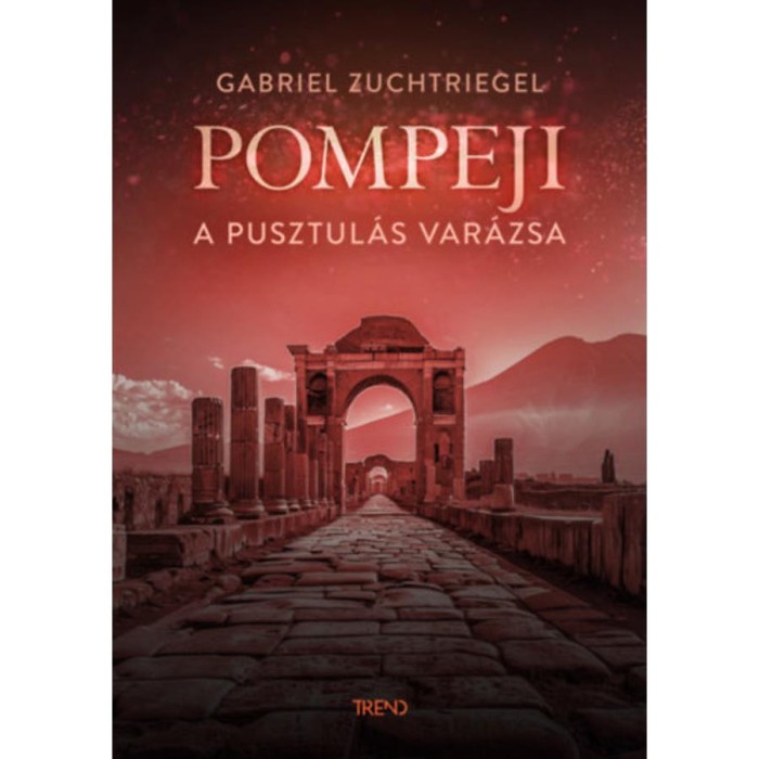 Pompeji - A pusztul&aacute;s var&aacute;zsa - Gabriel Zuchtriegel
