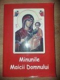 Minunile Maicii Domnului Nicodim M&amp;#259;ndi&amp;#355;&amp;#259;
