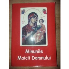 Minunile Maicii Domnului Nicodim M&amp;#259;ndi&amp;#355;&amp;#259;