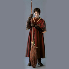 Roba / Capa / Mantie - HARRY POTTER Jocul Quidditch - Gryffindor foto