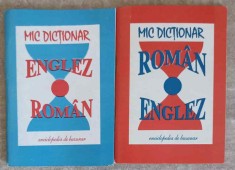 MIC DICTIONAR ENGLEZ - ROMAN, ROMAN - ENGLEZ-DANIELA ULICI-254574