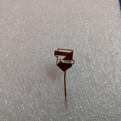 Insigna Vointa Timisoara foto