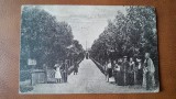 Carte postala, Baile Buzias promenada la scalda Otel, 1925