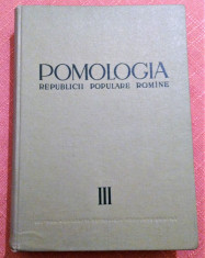 Pomologia R.P.R. Vol. III. Parul, gutuiul, mosmonul, scorusul - T. Bordeianu foto