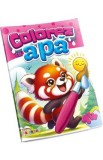 Colorez cu apa 14: Panda rosu