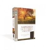 Amplified Bible-Am-Large Print: Captures the Full Meaning Behind the Original Greek and Hebrew