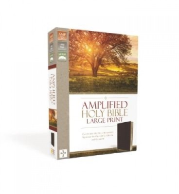 Amplified Bible-Am-Large Print: Captures the Full Meaning Behind the Original Greek and Hebrew foto