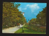 CPIB 19718 CARTE POSTALA - ZIMNICEA. PARCUL