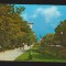CPIB 19718 CARTE POSTALA - ZIMNICEA. PARCUL