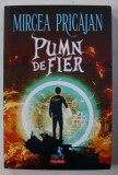 PUMN DE FIER de MIRCEA PRICAJAN , 2018