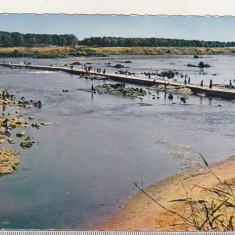 bnk cp Mali - Kayes - Vedere pe malul fluviului Senegal - uzata