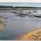bnk cp Mali - Kayes - Vedere pe malul fluviului Senegal - uzata