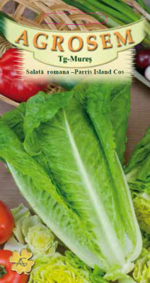 SALATA ROMANA PARRIS ISLAND, 2g foto