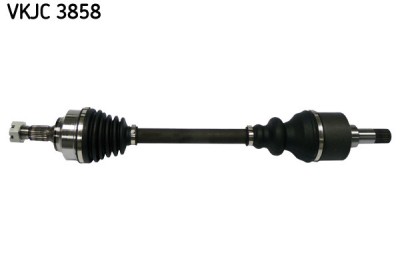 SKF VKJC 3858 Planetara foto