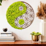 Decoratiune de perete, Yin Yang, 100% MDF/MOSS (grosime: 9 mm), Dimensiune: 44 x 1 x 44 cm, Verde/Maro, Natura