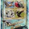 GUINEEA 2016 - Fauna, Pasari de mare/ colita + bloc ( 2 imagini)