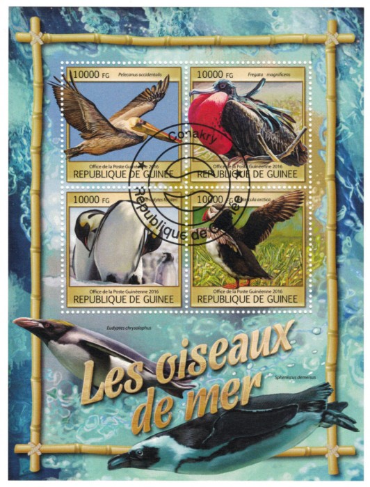 GUINEEA 2016 - Fauna, Pasari de mare/ colita + bloc ( 2 imagini)