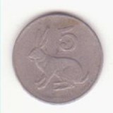 Zimbabwe 5 cenți 1988 - iepure