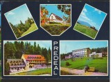 CPI B13330 CARTE POSTALA - PREDEAL, MOZAIC, Circulata, Fotografie