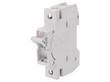 Separator cu Fuzibil D01 pentru Șină DIN 16A 230/400V