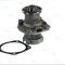 Pompa apa FIAT FIORINO Pick-up (146) (1988 - 2001) THERMOTEC D1F003TT