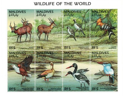 MALDIVE 1996 - Animale salbatice/colita MNH foto
