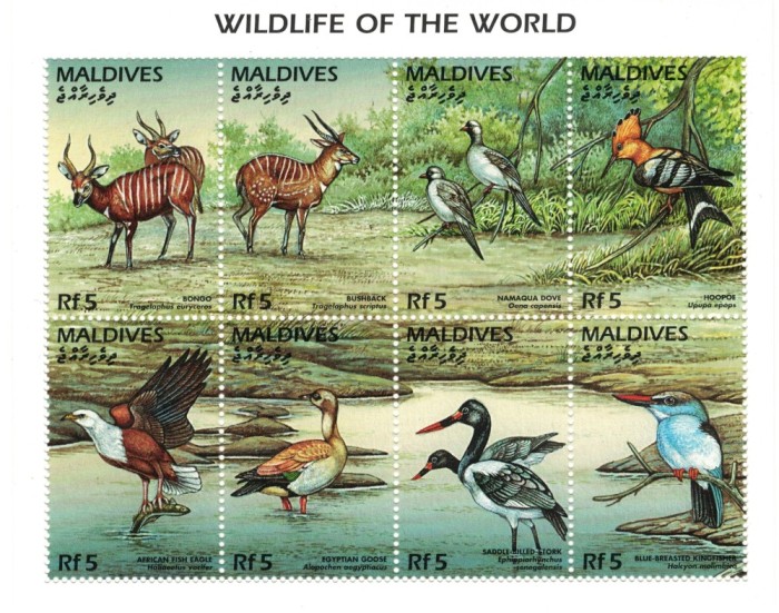 MALDIVE 1996 - Animale salbatice/colita MNH