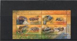 KYRGYZSTAN 2019 FAUNA REPTILE