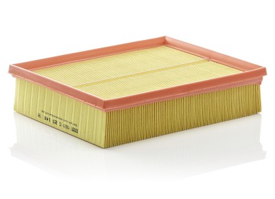MANN-FILTER C 25 146 Filtru aer foto