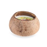 Lumanare parfumata in coaja Nuca Cocos aroma Kiwi, Mango &Oslash; 10,5 cm x 7,5 H
