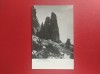 CARTE POSTALA - RPR - MUNTII BUCEGI - COLTII DIN VALEA HOROABEI, Necirculata, Fotografie