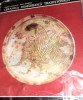 CERAMICA ROMANEASCA TRADITIONALA