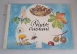 PRINTRE CASTANI - IRENE GEILING , ilustratii de ILSE HESLER , 1975