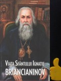 Viata Sfantului Ignatie Briancianinov Mihaela Bejan