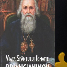 Viata Sfantului Ignatie Briancianinov Mihaela Bejan