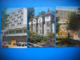 HOPCT LOT 3687 - 3 CARTI POSTALE-SOVATA JUD MURES-NECIRCULATE, Necirculata, Printata