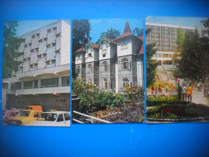 HOPCT LOT 3687 - 3 CARTI POSTALE-SOVATA JUD MURES-NECIRCULATE