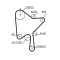 GATES KP15686XS-1 PowerGrip&reg; Set pompa apa + curea dintata