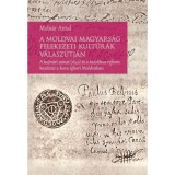 A moldvai magyars&aacute;g felekezeti kult&uacute;r&aacute;k v&aacute;lasz&uacute;tj&aacute;n - A kutn&aacute;ri zsinat (1642) &eacute;s a katolikus reform kezdetei a kora &uacute;jkori Moldv&aacute;ban - Moln&aacute;r Antal