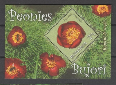 ROMANIA 2011 BUJORI FLORA Colita dantelata LP.1895 MNH** foto